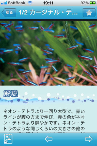 熱帯魚＆水草図鑑322選