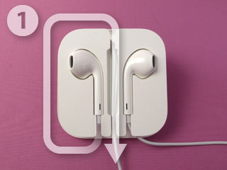 EarPods