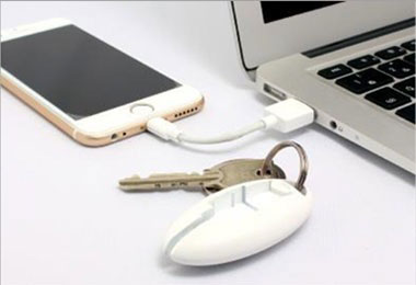 LEPLUS Compact USB Lightning Cable