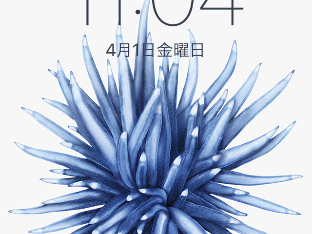 豆知識 Iphone Seにだけ収録されている 専用の壁紙がある パッケージに使われているイソギンチャクの絵 アイアリ