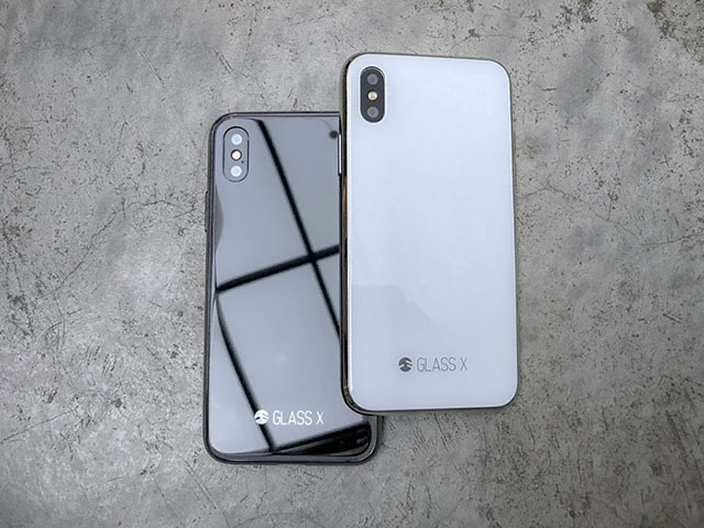 SwitchEasy GLASS X for iPhone X