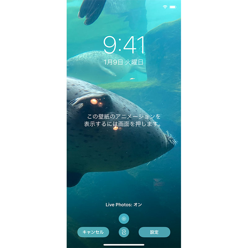 豆知識 Iphone Se 第2世代 やiphone Xrには 壁紙にした写真が動く Live壁紙 機能はない アイアリ