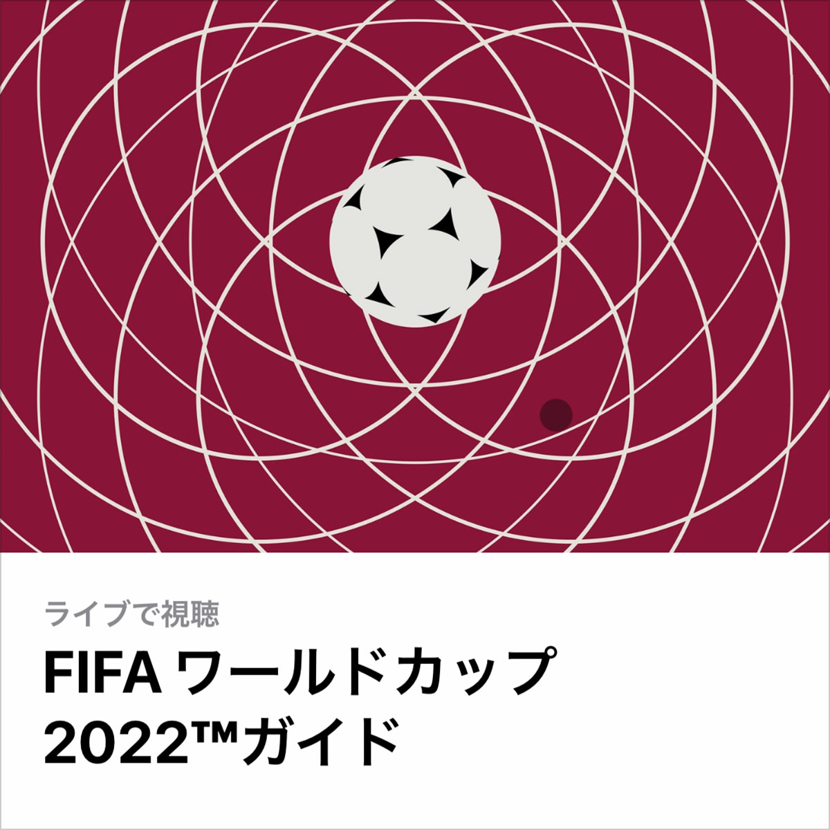 FIFAワールドカップ2022ガイド