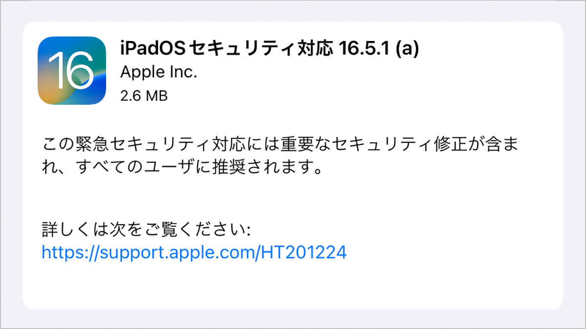 iPadOS 緊急セキュリティ対応 16.5.1 (a)
