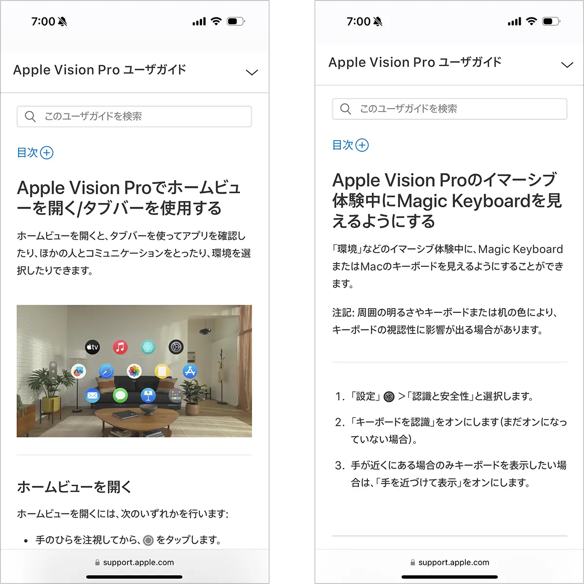 Apple Vision Pro ユーザガイド