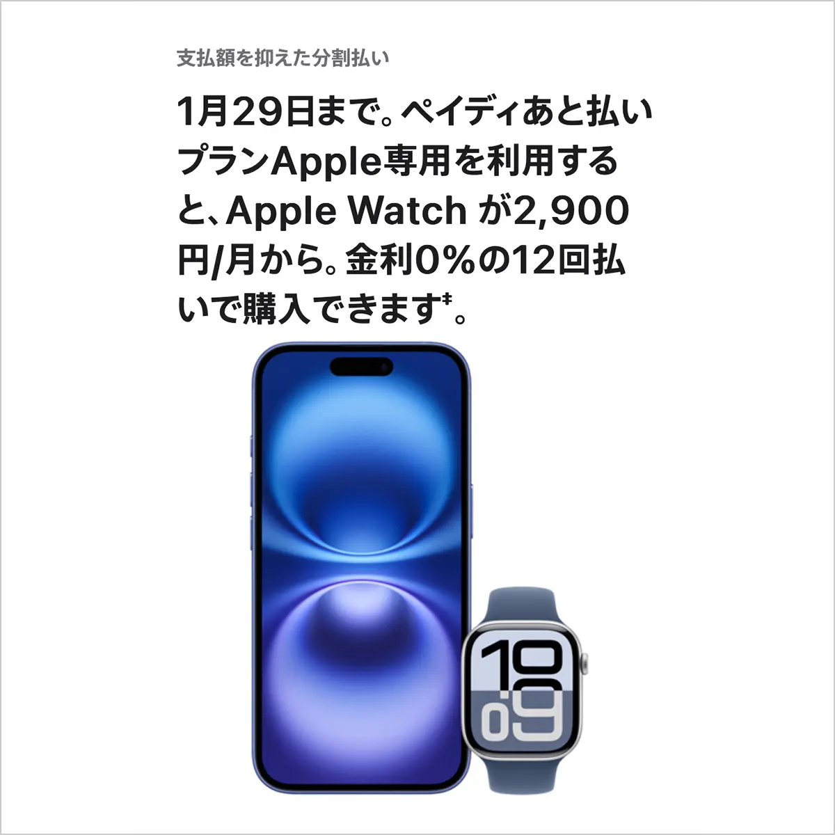 Apple Watch 12回分割払い金利0％キャンペーン