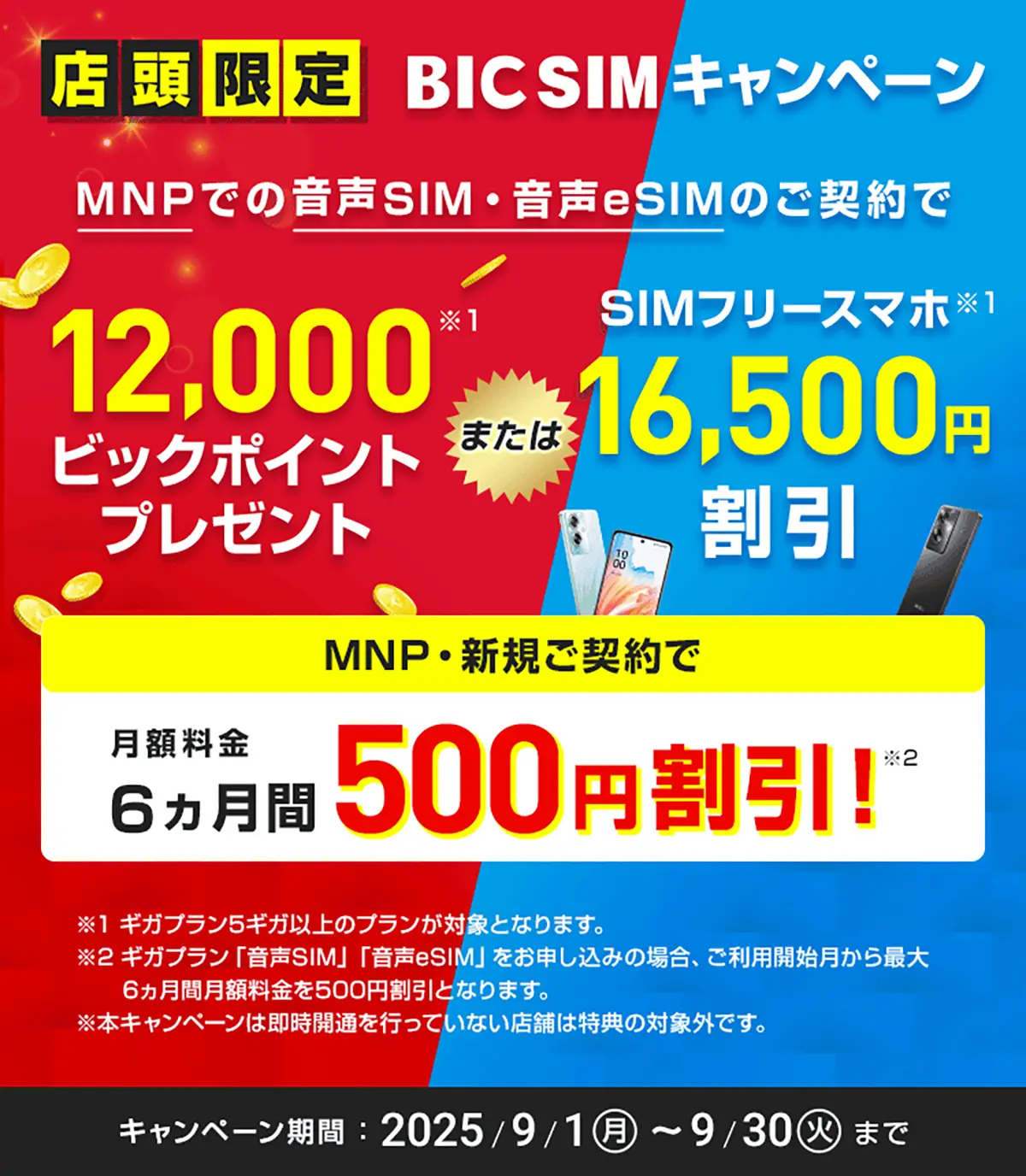 BIC SIMキャンペーン