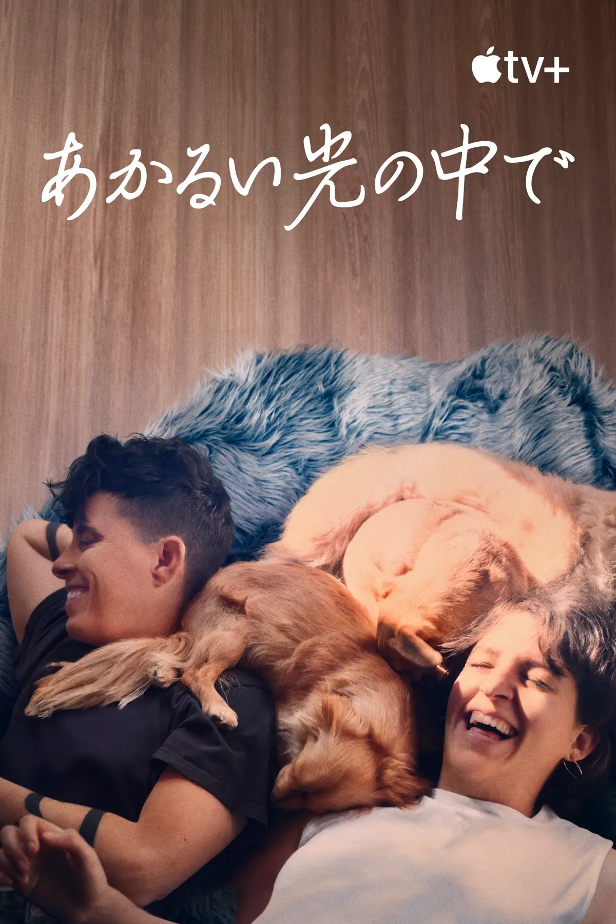 あかるい光の中で