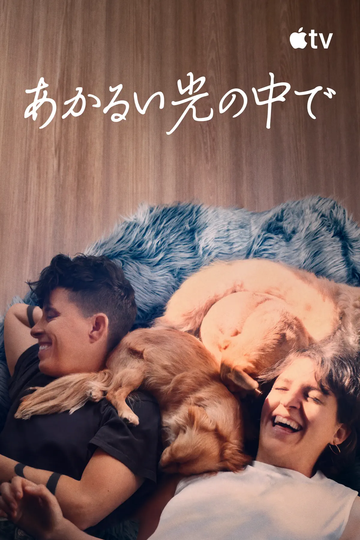 あかるい光の中で