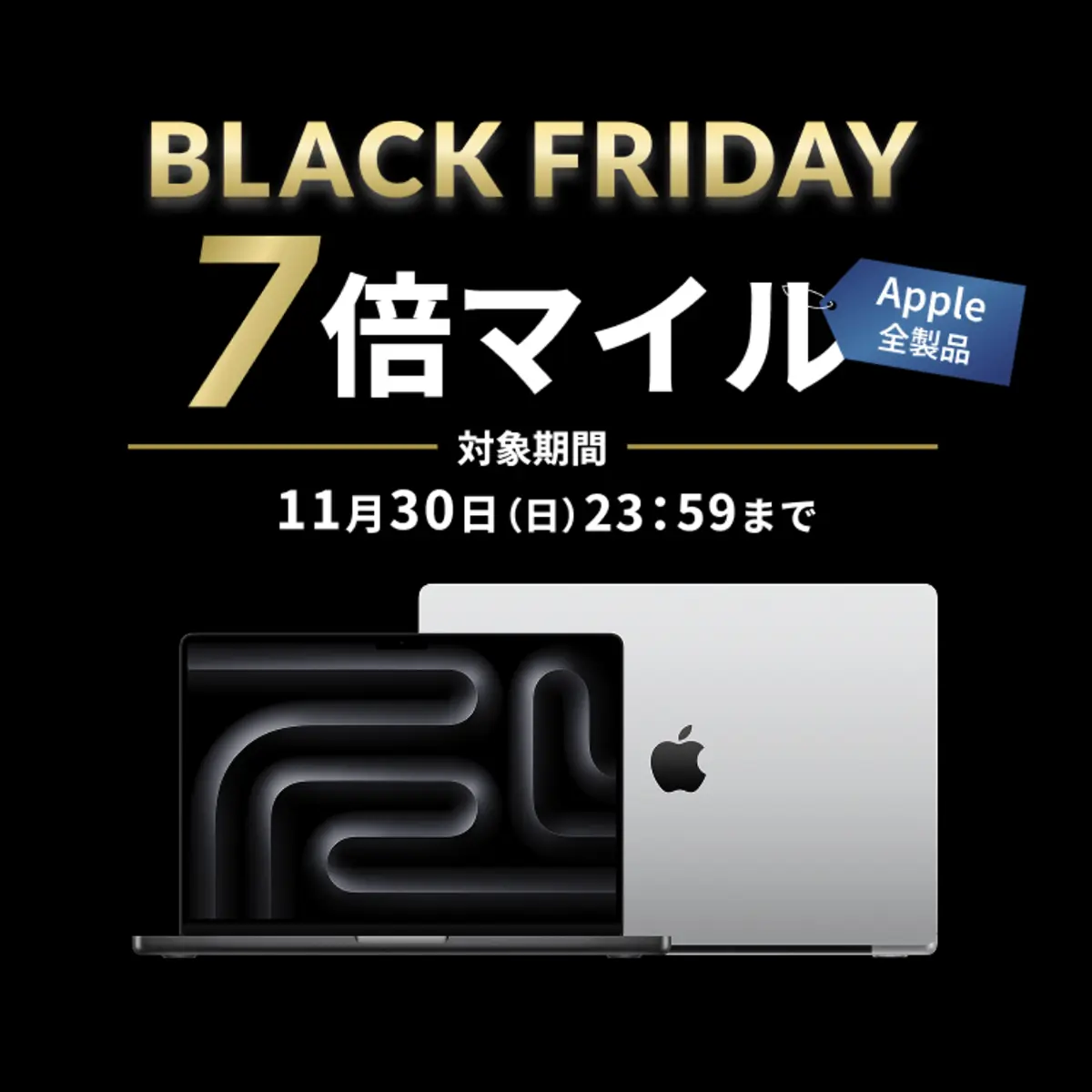 ANA Mall ブラックフライデー