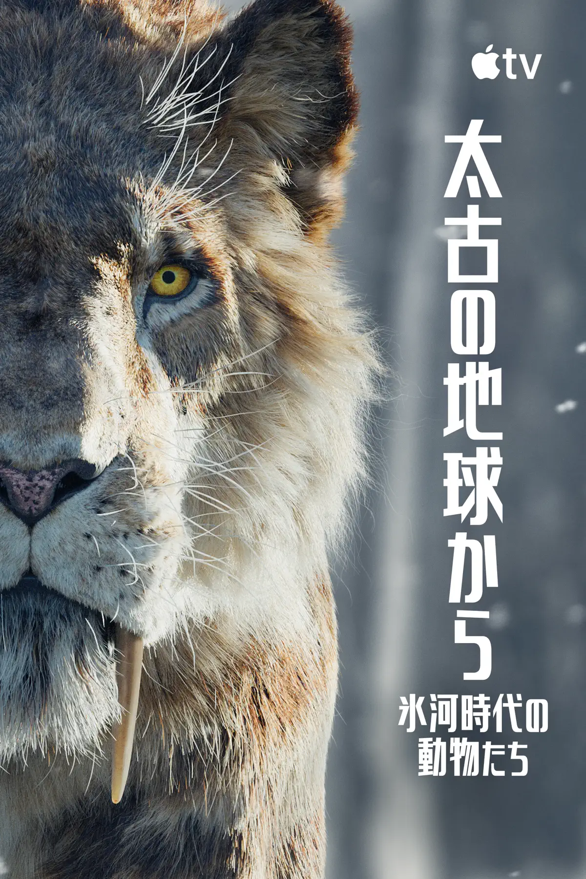 太古の地球から〜氷河時代の動物たち〜