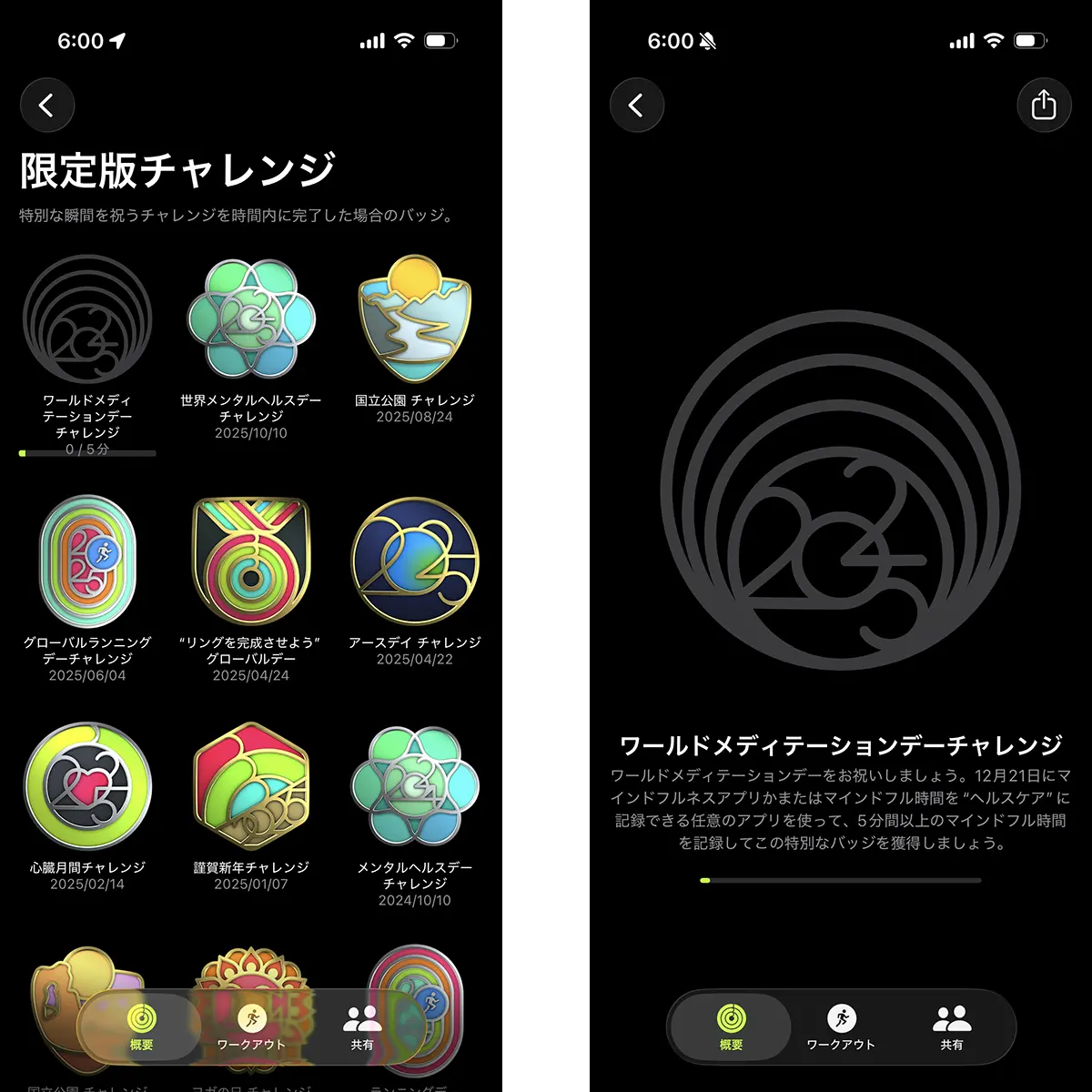 ワールドメディテーションデーチャレンジ