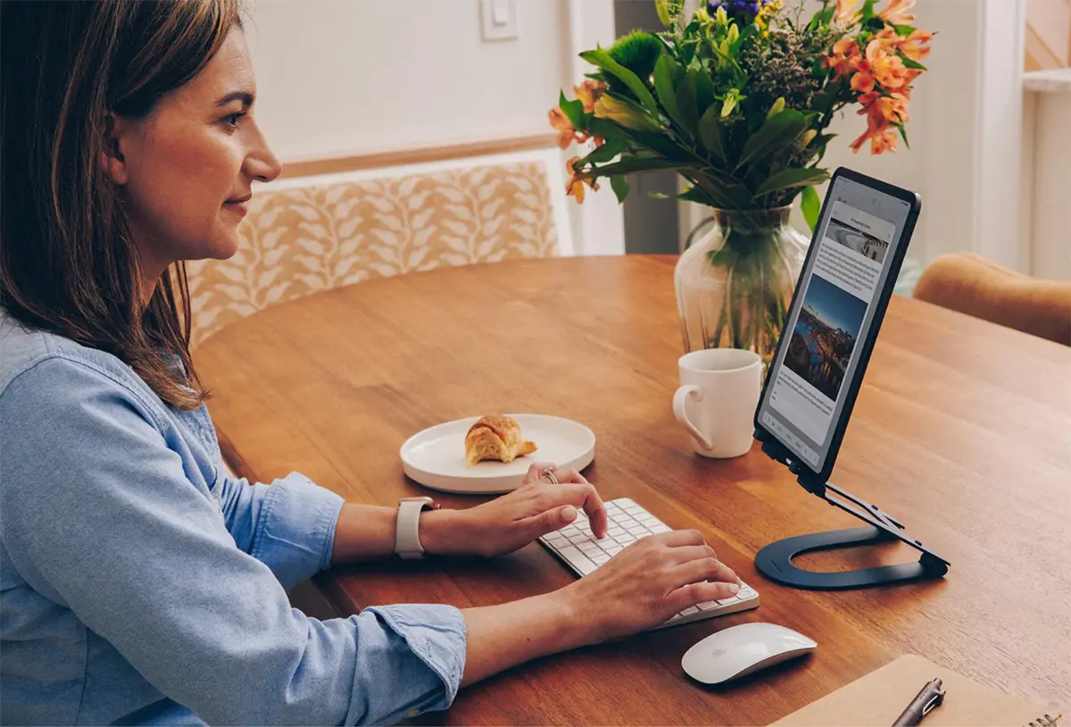 Twelve South Curve Mini