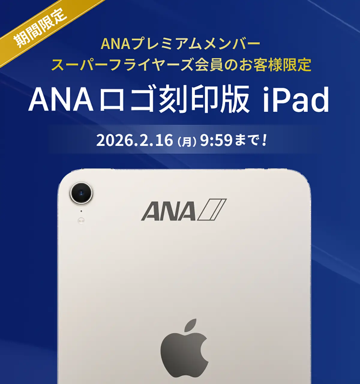 ANAロゴ刻印版iPad