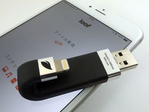 Leef iBridge