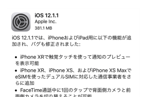 iOS 12.1.1 ソフトウェア・アップデート