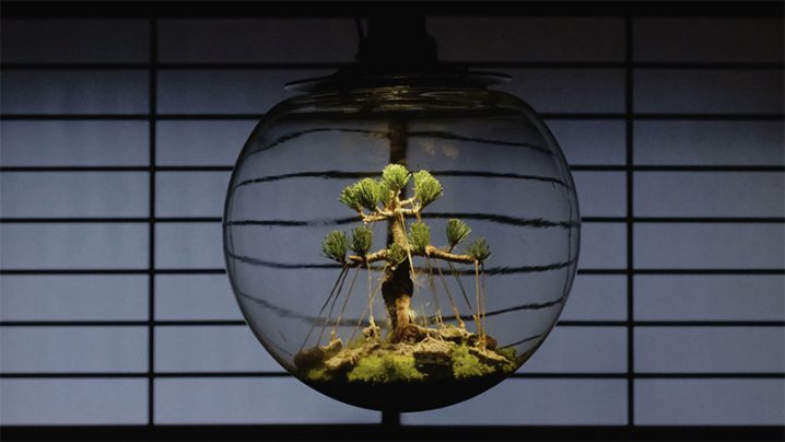 Photo Lab：村瀬貴昭と発見する盆栽の未来形