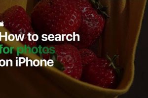 How to search for photos on iPhone