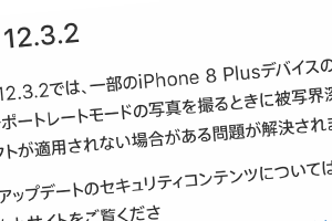 iOS 12.3.2 ソフトウェア・アップデート