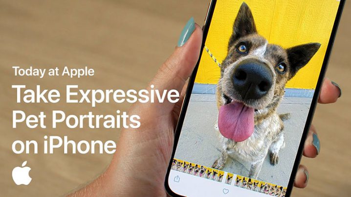 Take Expressive Pet Portraits on iPhone