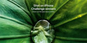 Shot on iPhoneマクロ写真撮影チャレンジ入賞作品発表