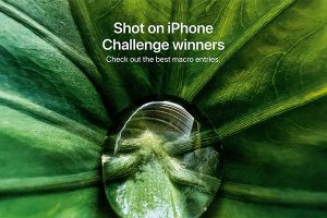Shot on iPhoneマクロ写真撮影チャレンジ入賞作品発表