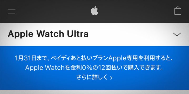Apple Watch ペイディ 12回分割払い金利0％キャンペーン