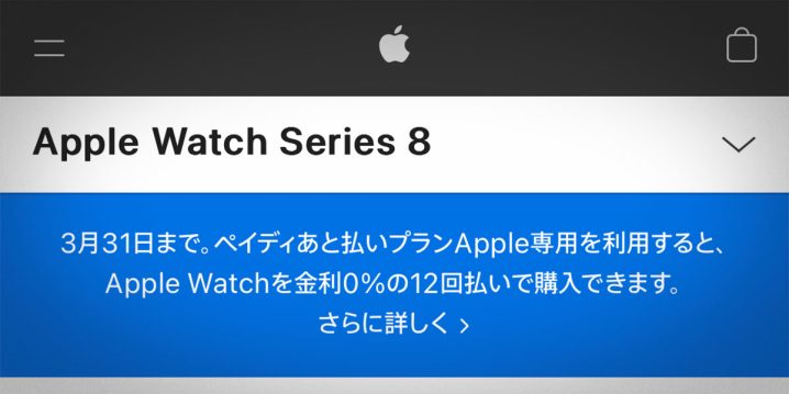 Apple Watch ペイディ 12回分割払い金利0％キャンペーン