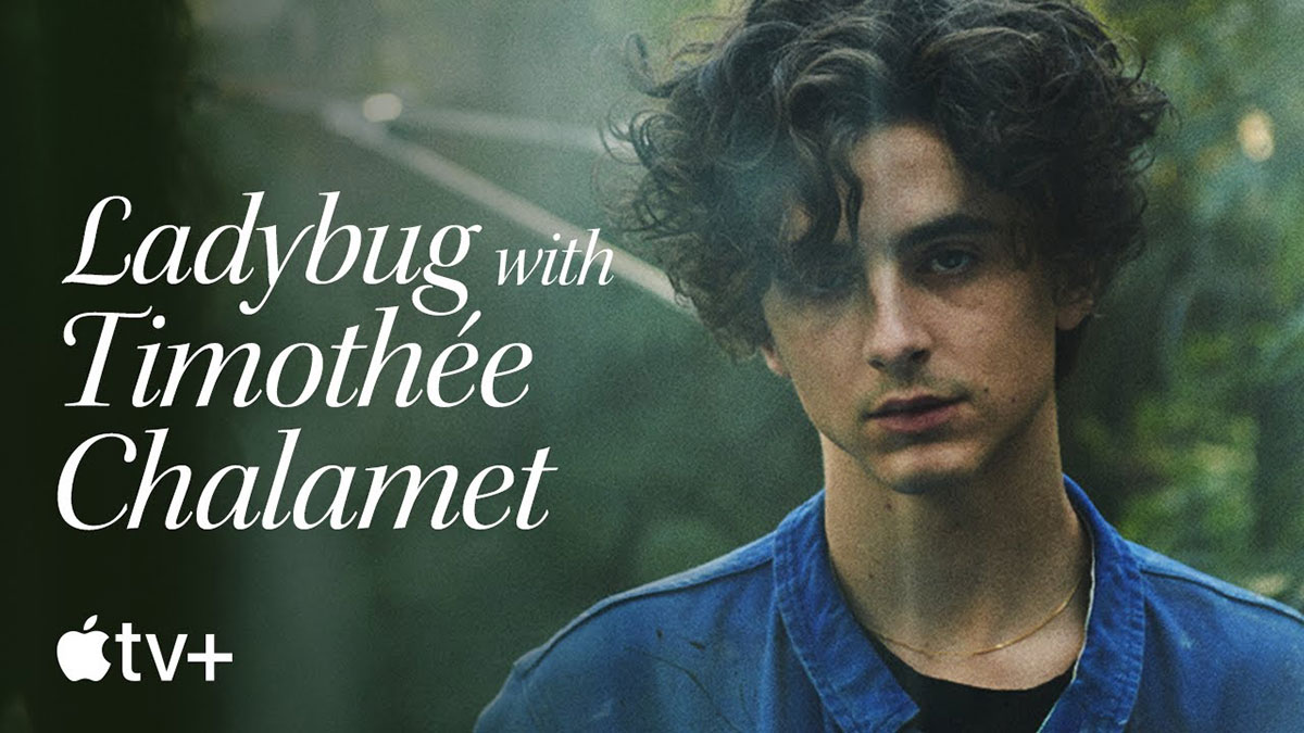 Ladybug with Timothée Chalamet