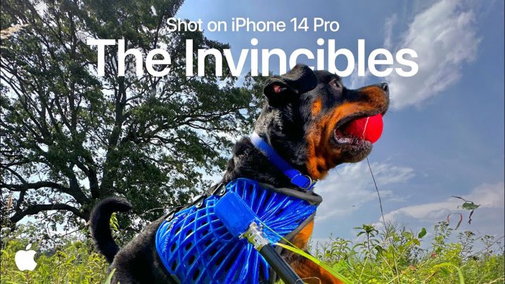 iPhone 14 Pro | The Invincibles