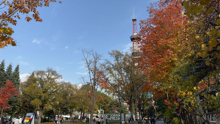 札幌市の大通公園