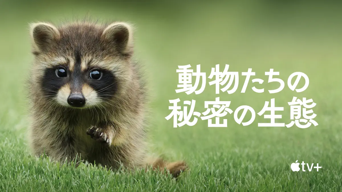 動物たちの秘密の生態