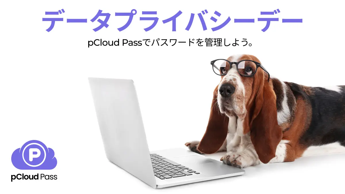 pCloud Pass データプライバシーデー キャンペーン