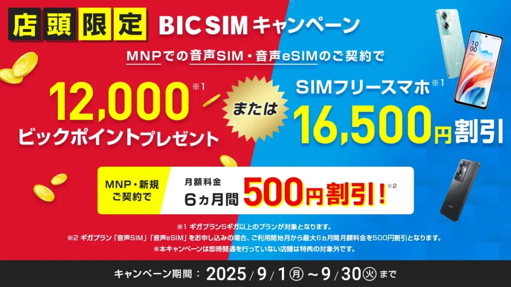 BIC SIMキャンペーン