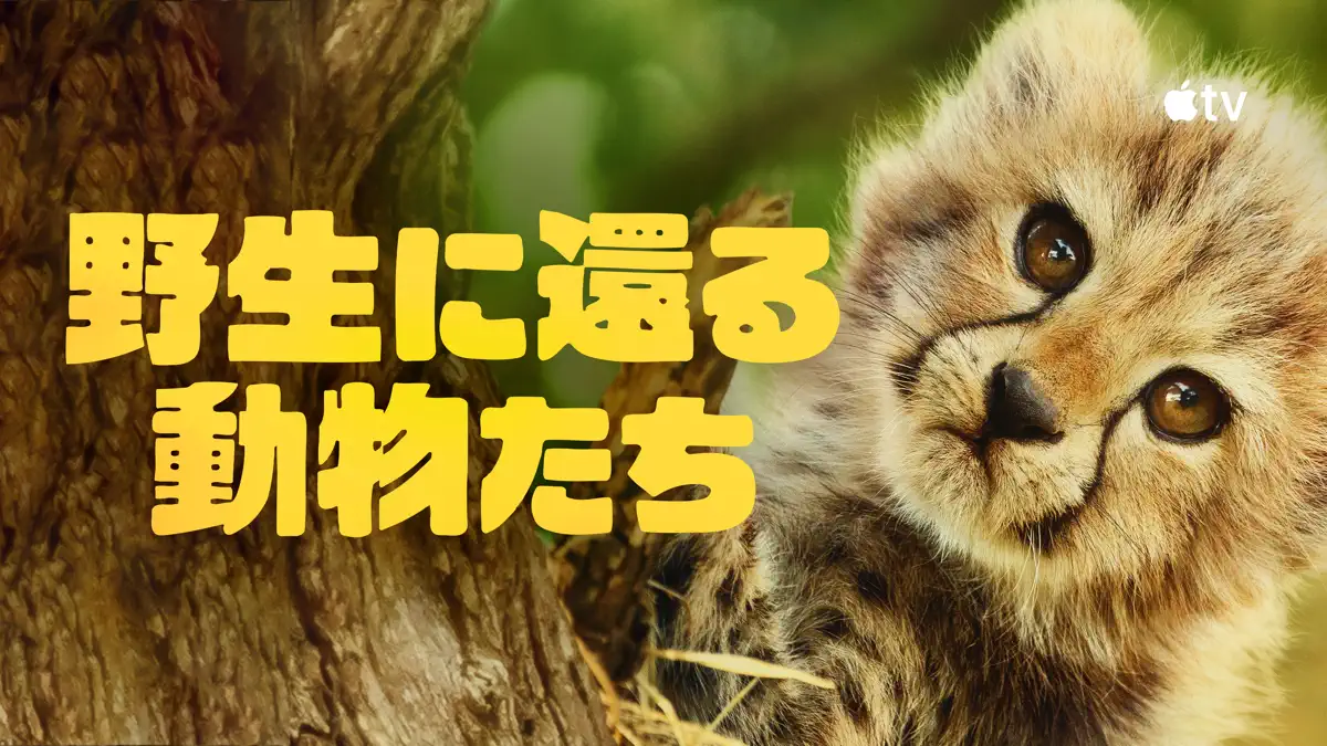 野生に還る動物たち