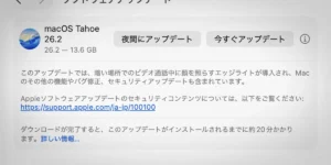 MacBookoro 値下げ歓迎 楽天市場】トートバッグ キャンバス マチ 好評 大きめ A4 横
