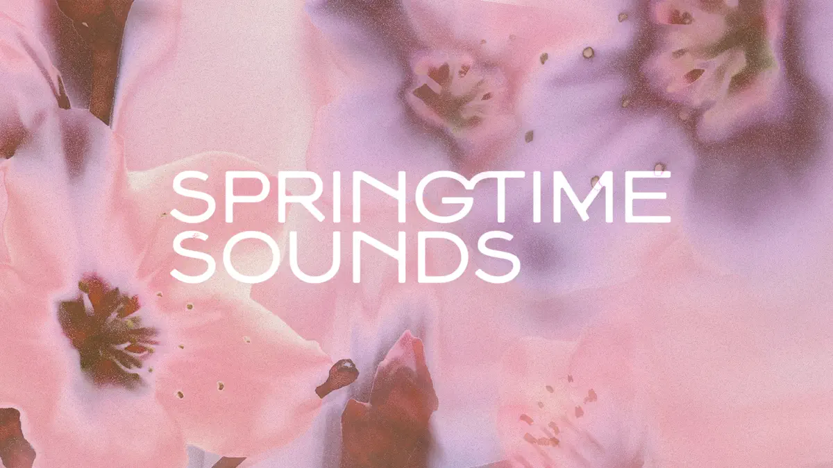スプリングタイム・サウンズ